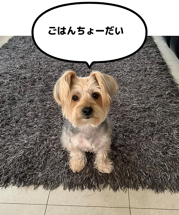 kuutan🍠の投稿