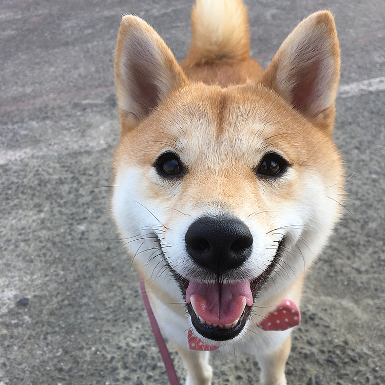 うまうま〜💕