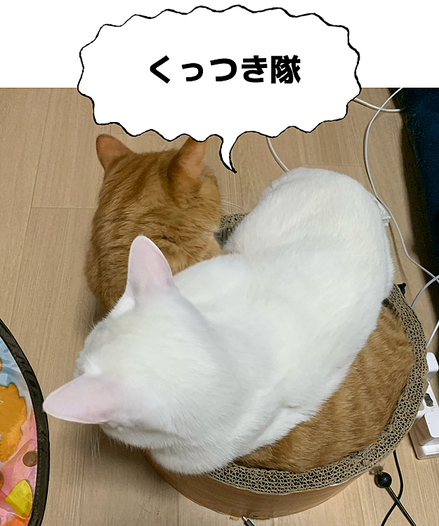 兄Loveな弟