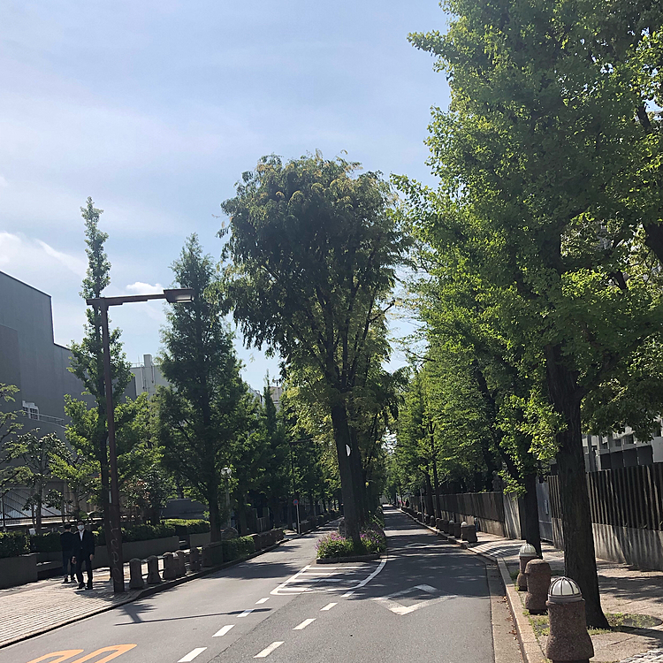 もう夏日ですね〜🔆

今年は夏がくるの早い気が、、💡

お散歩時間、早くも夏verに変えますかね、、( ¯꒳¯ )ᐝ

