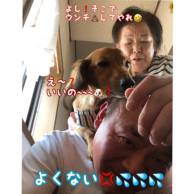 うっかりカメラ撮影を標準で撮ってしまった写真をやっとリサイズ出来るアプリを見つけてアップ出来ました😆😆😆
午前中のココ太郎🐶です(笑)