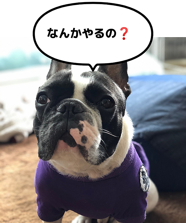 今日は日中30℃に近づこうかという暑さのまろ地方でした。