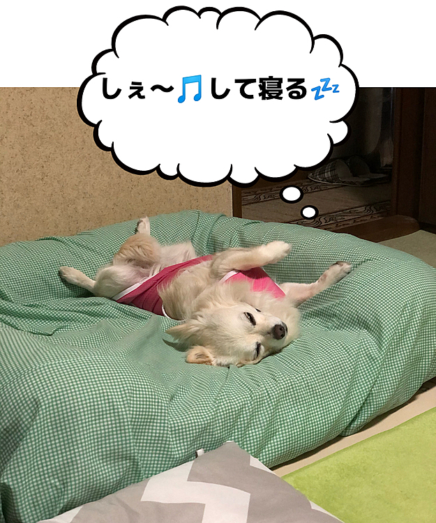 うん、ゆっくり寝ぇ👍
おやすみ〜💤