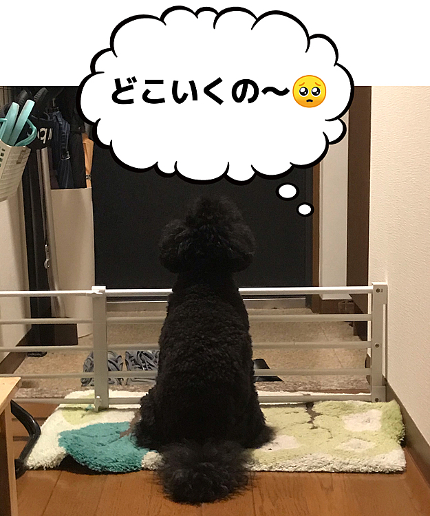 父がジュースを買いに。
とても良い姿勢‼️😄