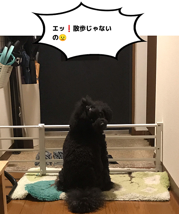 もう夜🌙⭐️ですよー
ネンネ💤💤の時間ですよー。