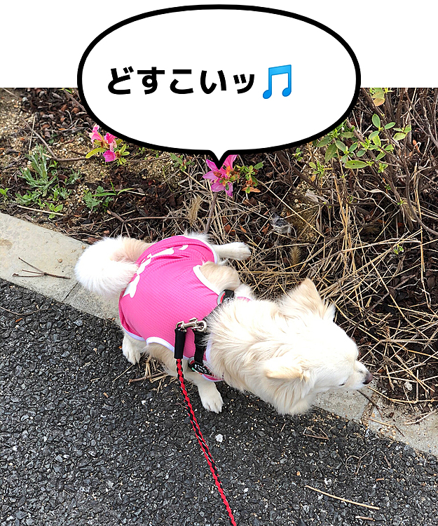 朝練は欠かさないわよ😄