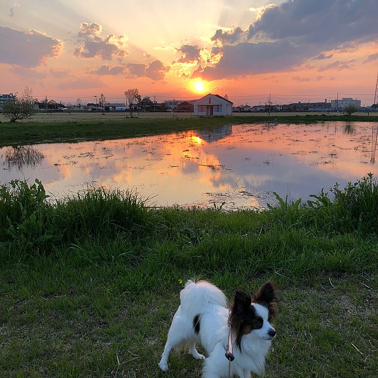 れおん君…昨日も暑かったけど、今日も暑い😵💦🥵☀️よ！