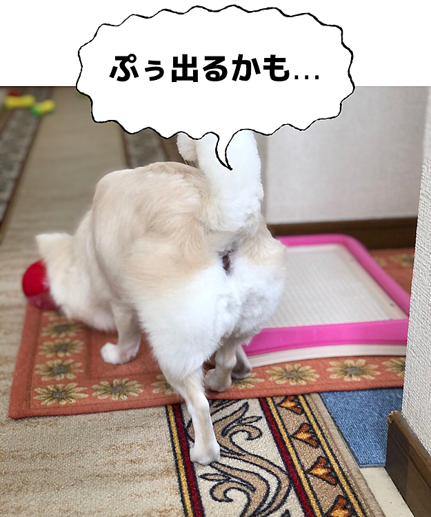 また❓🤣
