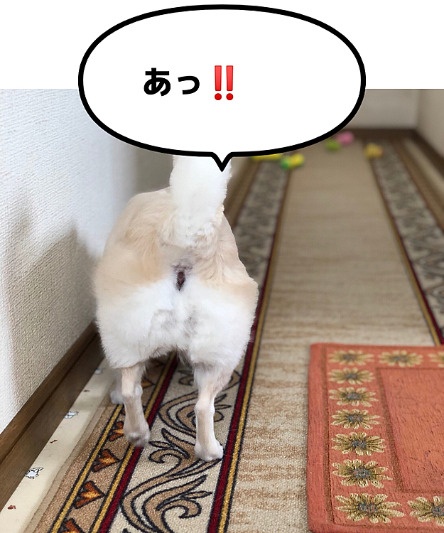 えっ❓😳