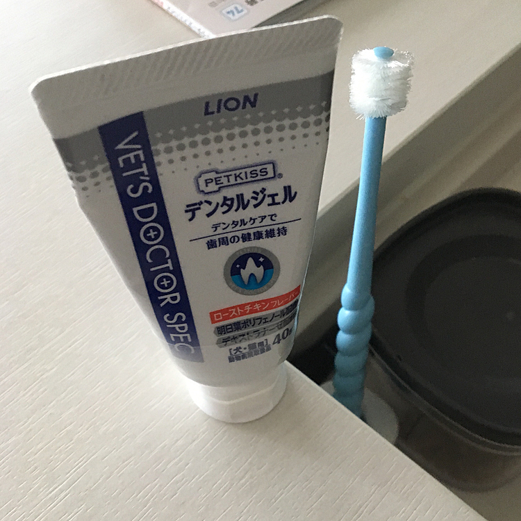 他のフレーバーもあるけどせつはチキンフレーバーがお気に入り💕
歯ブラシは360°ブラシがお好みのようで、色んな歯ブラシを試したなかで、これだけは長時間磨かせてくれます(●´ω｀●)上も下も磨きやすいので私も使いやすい💕
昔は犬用シグワン使ってたけど…コスパかかりすぎ💦
犬用になるとお値段はりますね💧今は人間の子ども用を使用しています⭐️


