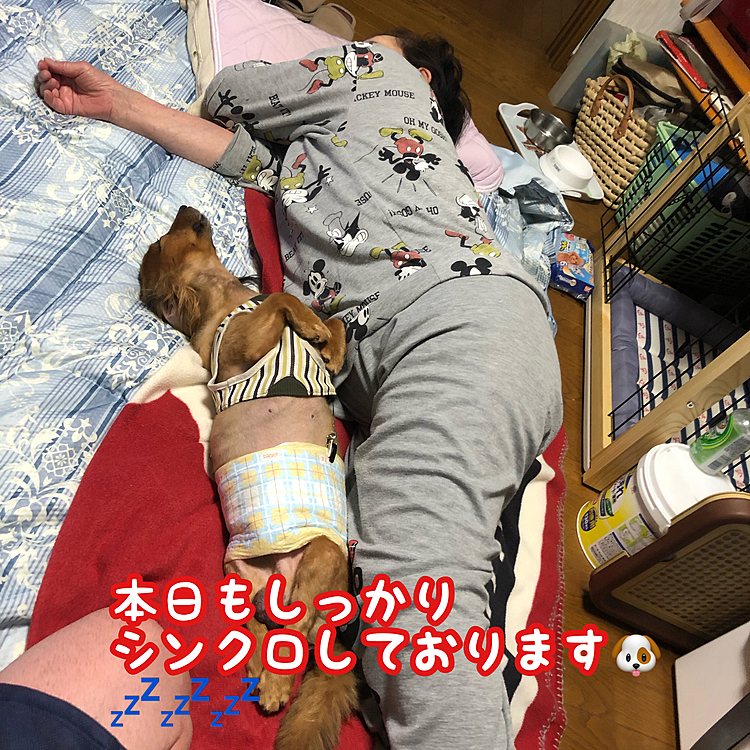 シンクロペア🤣🤣🤣