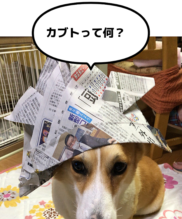 おとーさん🌀何かちてると思ってたら🌀
こんなのちゅくってまちた🤣　
