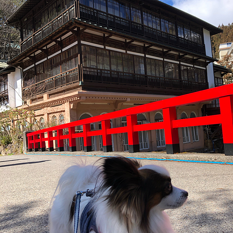 れおん君…千と千尋の神隠しの舞台ですよ！