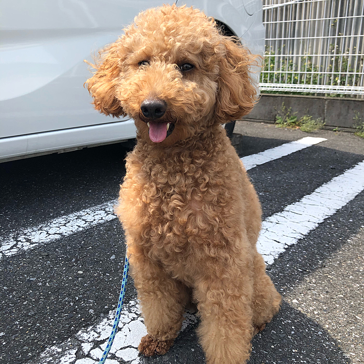 じぃ。の投稿