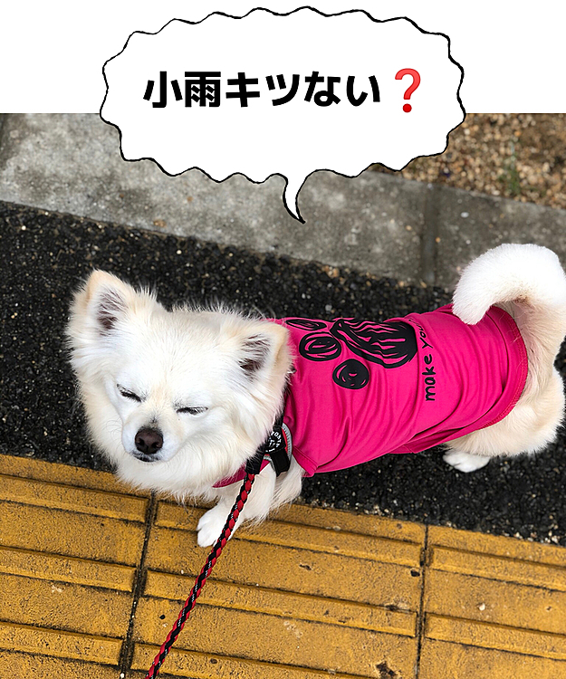 大丈夫やって、気のせいやん👍
すぐ止むから🤣