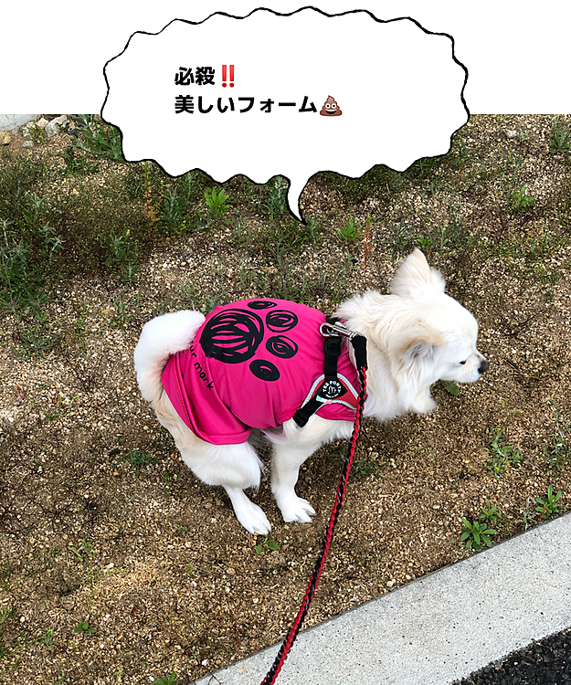 やっぱり横から撮ると美しいフォームやな🤣