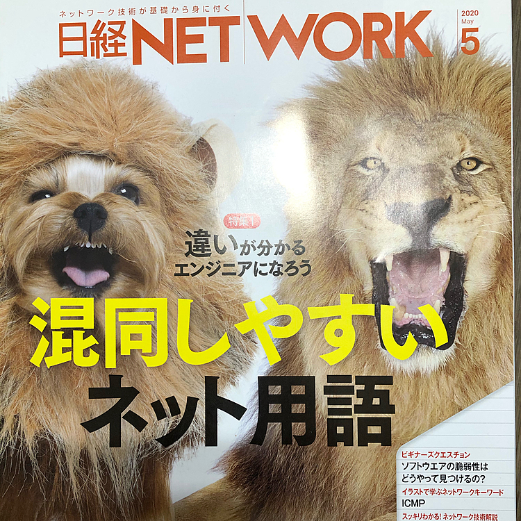 今月の雑誌の表紙。
怒った時のしゅうの顔にそっくり😊
しゅうが怒った時の写真を撮ってないから、比べれないのが残念🙍‍♀️
