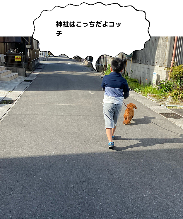 azuruの投稿
