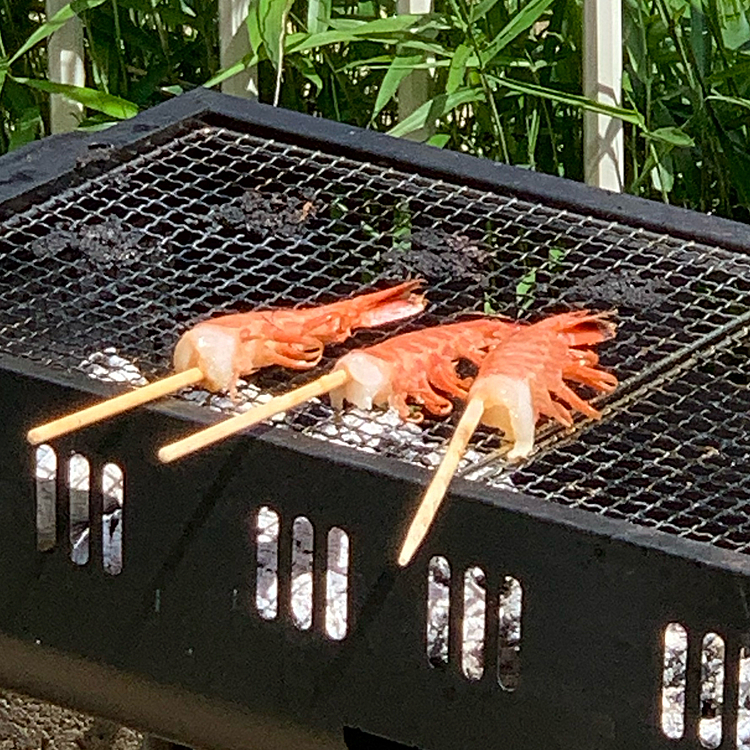 大騒ぎでハピさんは参加出来ず💦今年のGWはBBQin庭。収束したら遊びに行こうね❗️