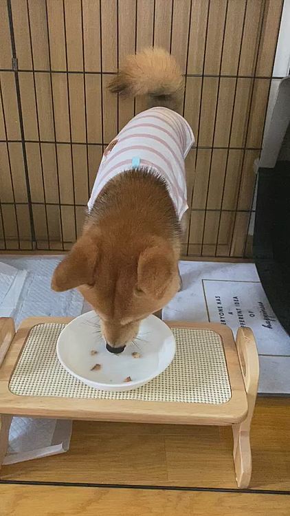 ヤギミルク🥛大好きで一気飲み😆
