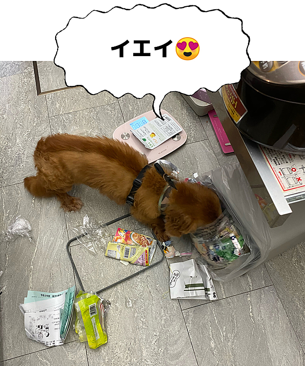 azuruの投稿