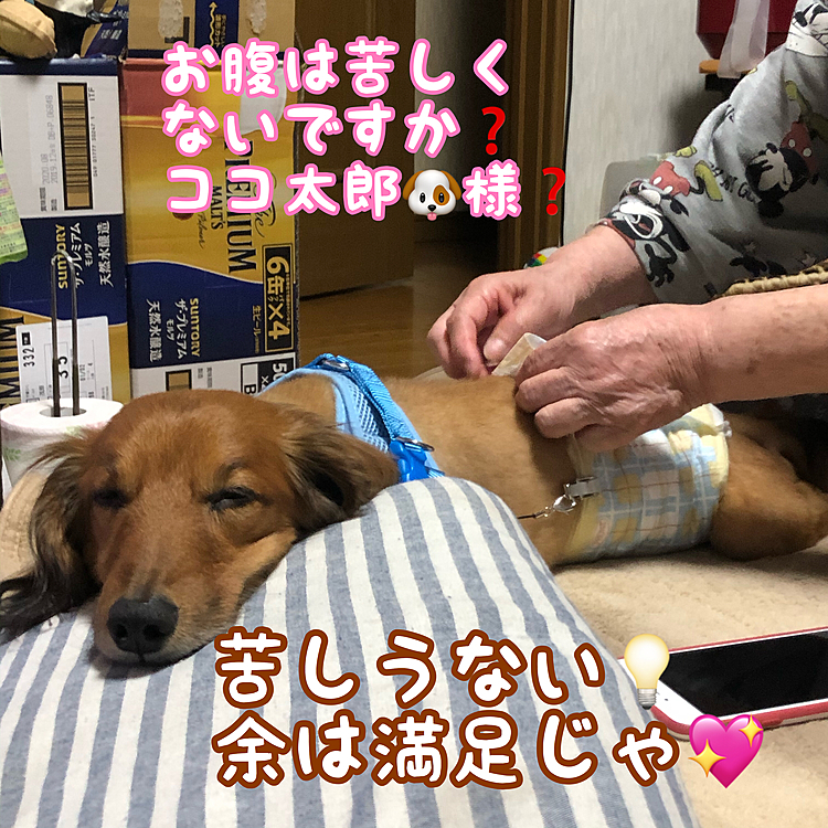 何だ❓この上下関係😅❓(笑)