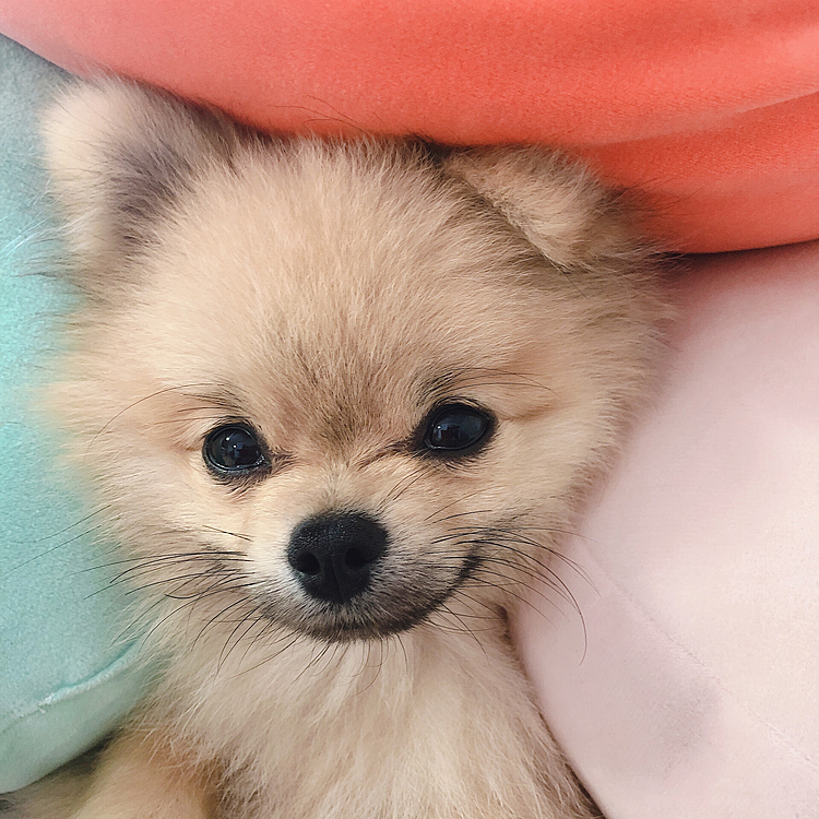モチモチクッション気持ちいいもんね❤️