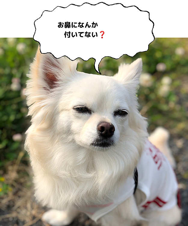 小雪〜
お鼻にゴミついてるで😂