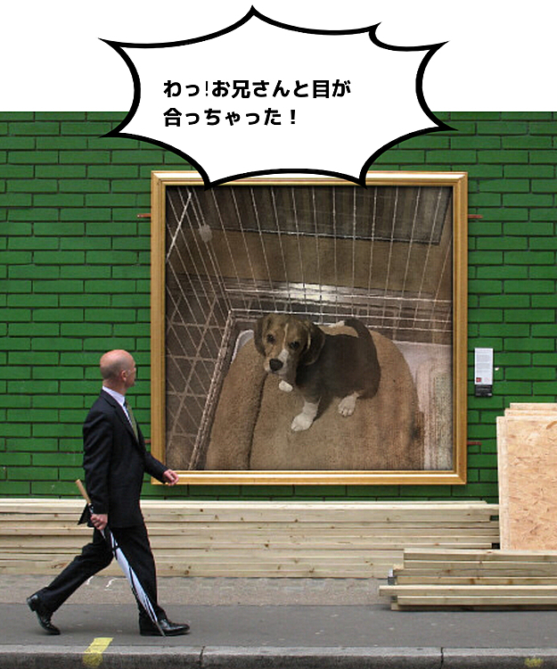 その棒みたいなの、怖いよ〜😳‼️

2018.7.22  もうすぐ3か月🐶❣️