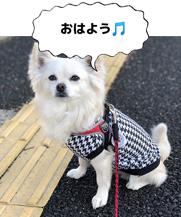 おはようございます😄
GWが終わってしまいました💦