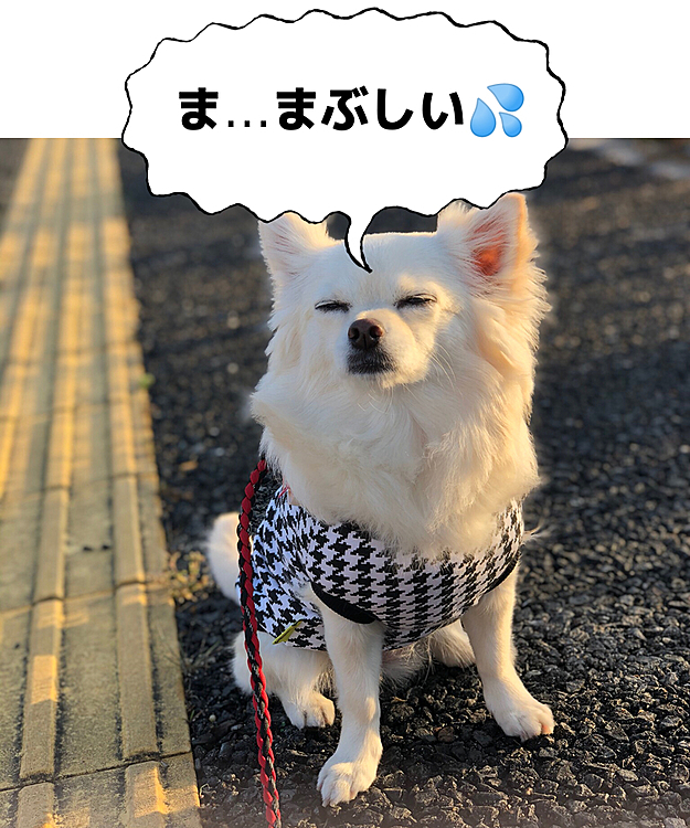 そんなとこで座るからやん🤣