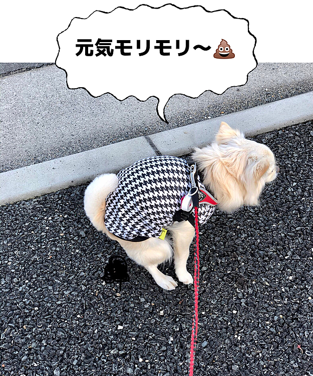 今朝も美しいフォームやな✨