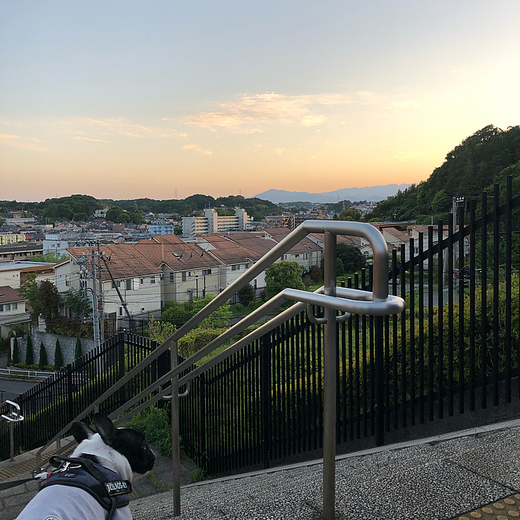 夕方も急に風が冷たくなってきました😀
今度は夕方の丘の上からです🙂