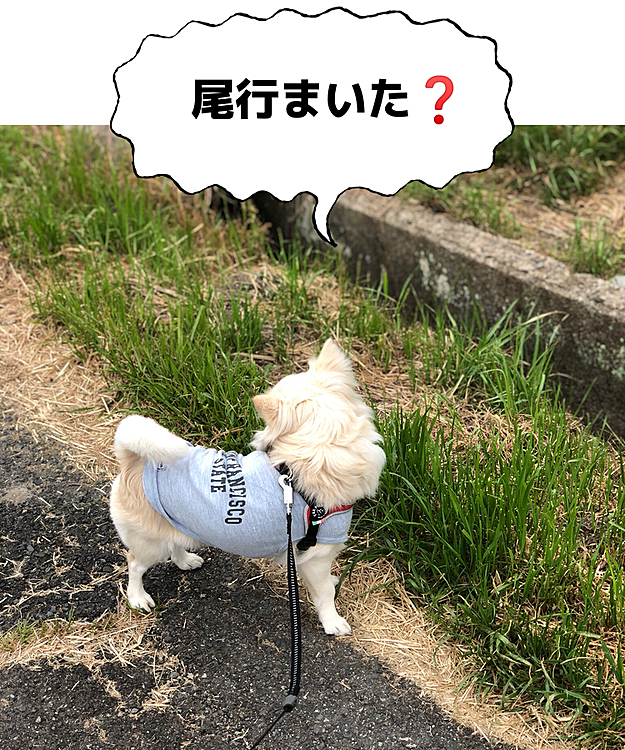 だからね❓
誰も小雪を尾行してないからっ🤣