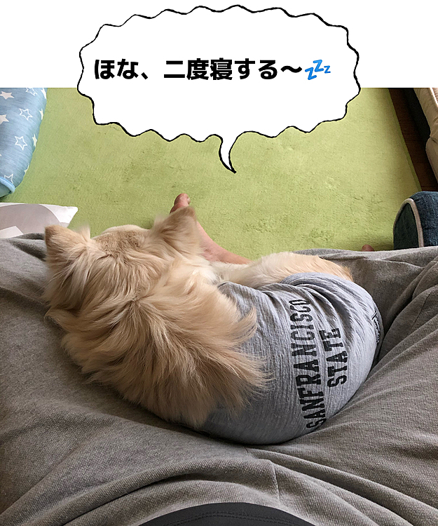 うん、ゆっくり寝んねしぃ😊
