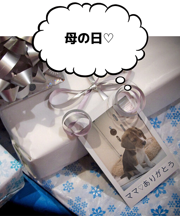 ココ❣️ありがとう😊💖
みんなのママさん❣️ありがとう😊💖