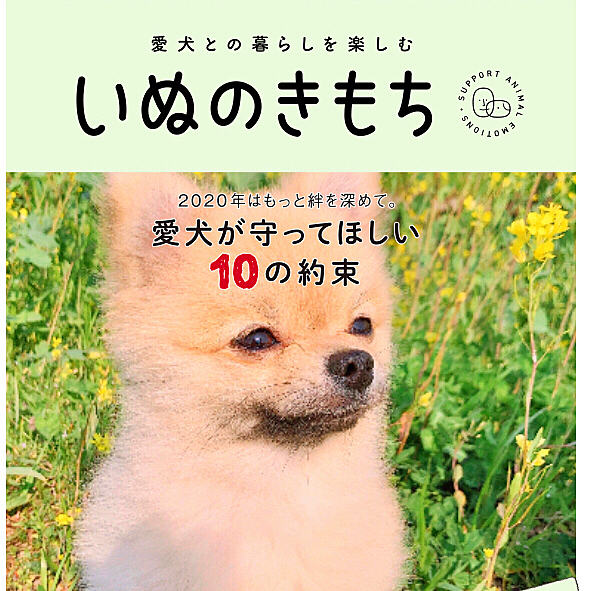 Happy母の日❤️
こたろうは私の可愛い息子😁❤️
産みの親より、育ての母よね❤️笑
これからも元気に育てよ愛息子🐾❤️
