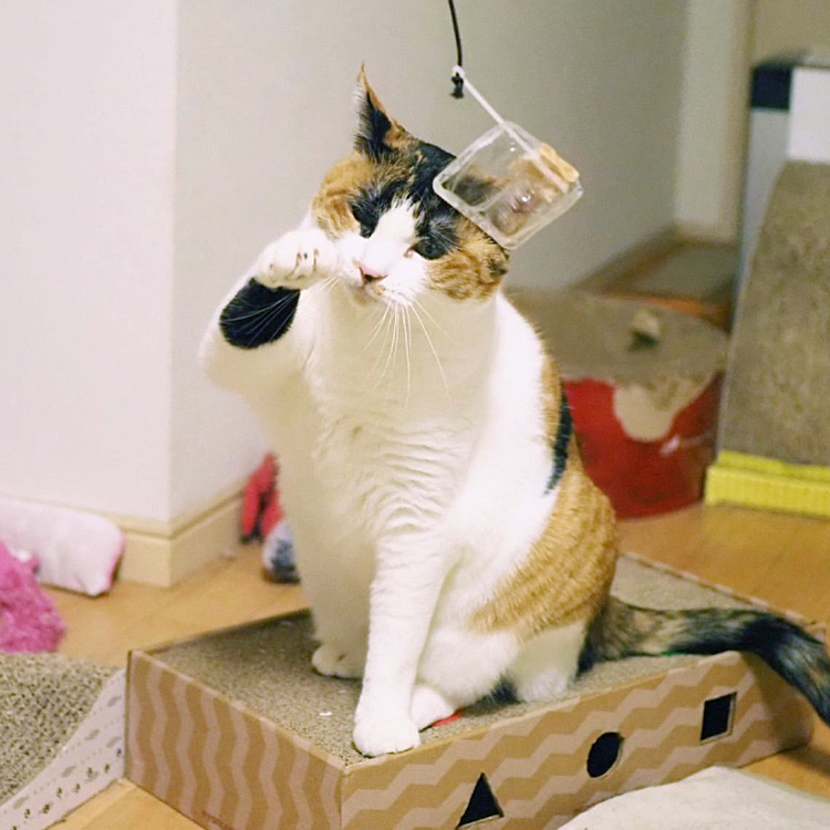 右ストレート招きパンチ
