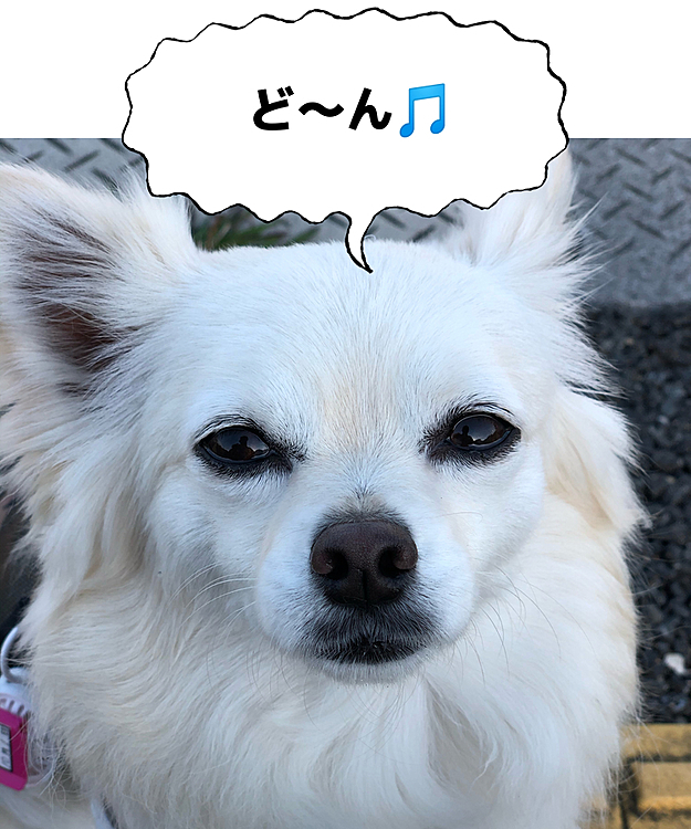 小雪、近くない❓
ごっつ真顔やし💦
無言の圧力ハンパないって〜🤣