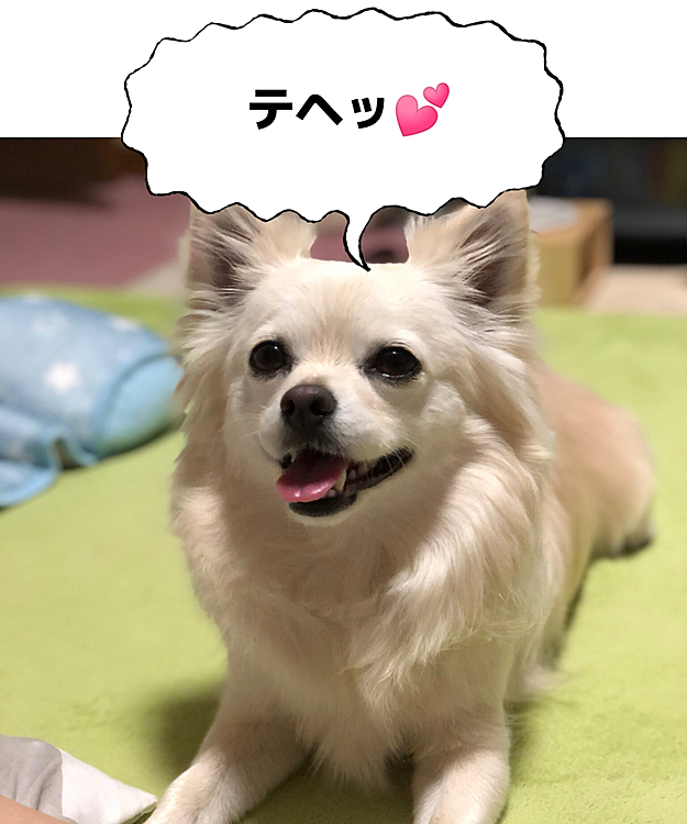 厳つい顔ばっかりじゃないよ〜
笑った顔の方が可愛いよ💕