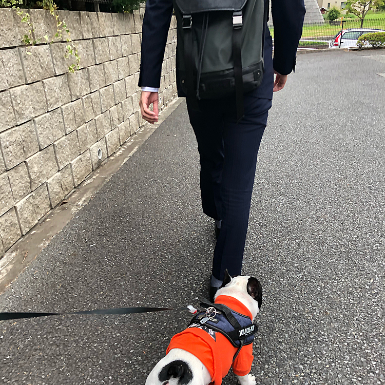 今朝の散歩は、テレワークじゃなくて会社に行く次男と途中まで一緒に。