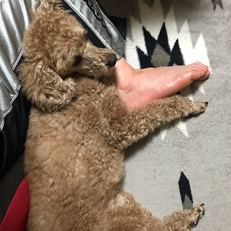 首痛くないのかね？