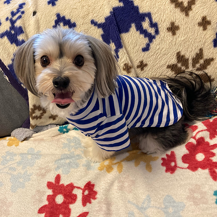 ワンサイズ小さい物を捨てずに置いておいて間違って着させてしまい、正しい物に着替えてパチリ📸