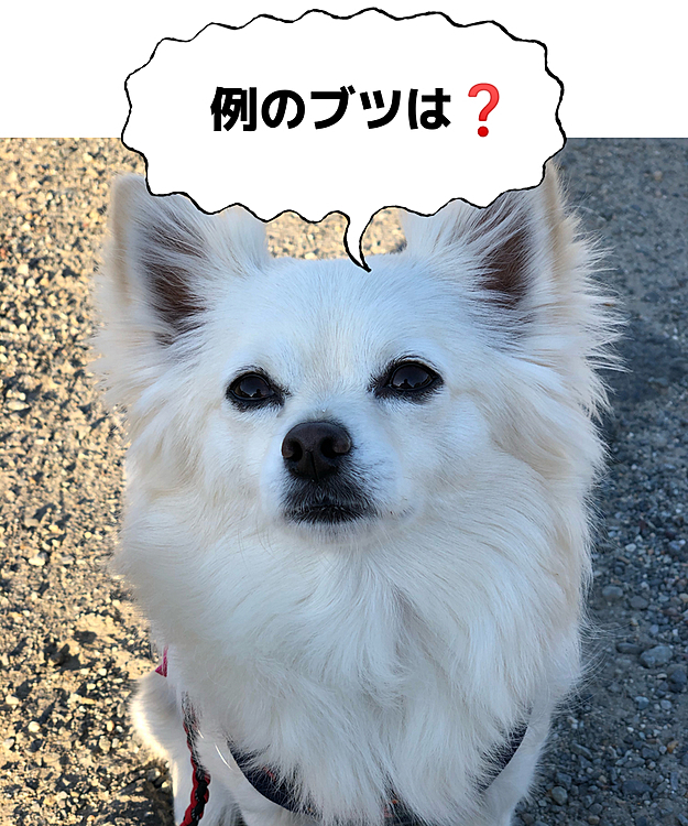 例のブツって…
オヤツや〜ん🤣