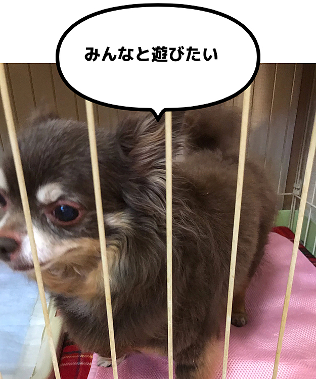 今日から女子部屋😆
じっとしてて欲しいのに、ずっと出たくて動いてるから困る〜💦