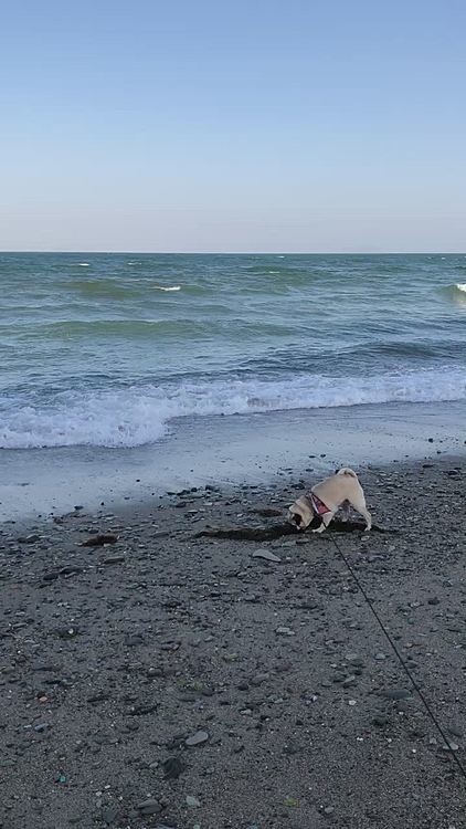 昨日の朝とは大違いです🌊