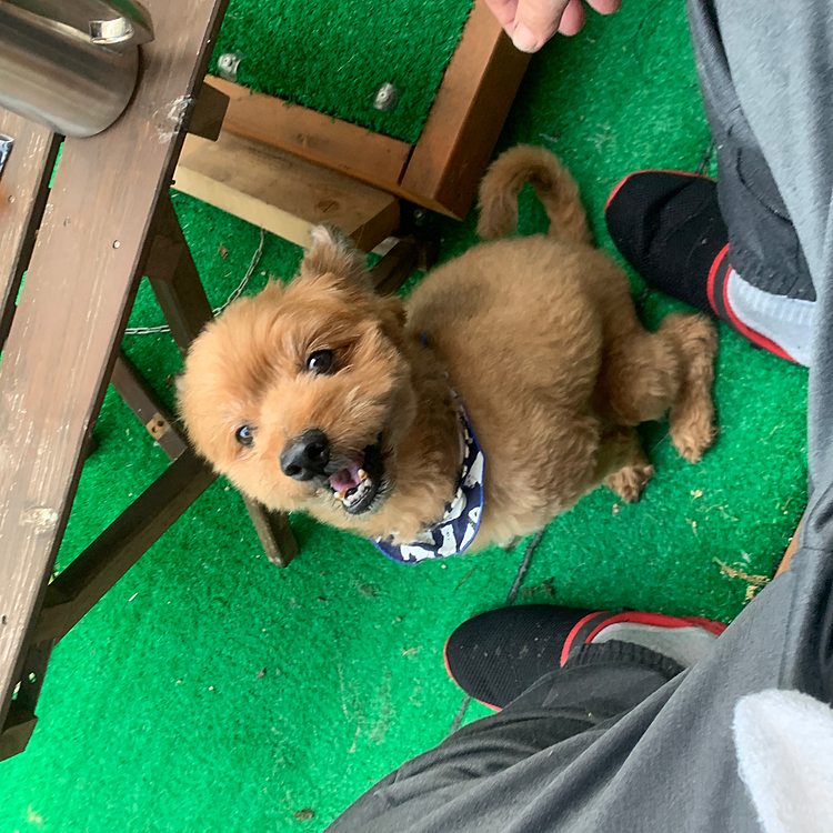 おやつ待ち