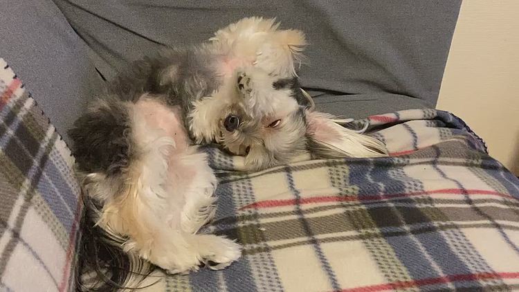 そして、寝てしまいました💤。
