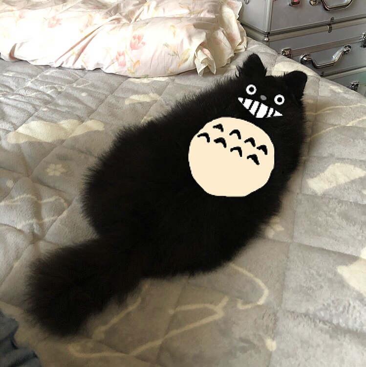 まあ描きますよね( ﾟ∀ﾟ)･∵ﾌﾞﾊｯ!!