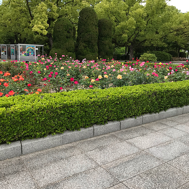 アラシと一緒に写真を撮るのは難しい😭